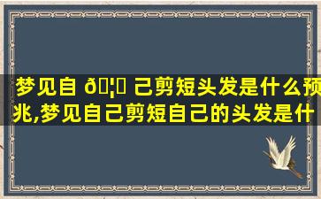 梦见自 🦟 己剪短头发是什么预兆,梦见自己剪短自己的头发是什 🦆 么预兆